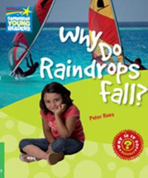 Picture of WHY DO RAINDROPS FALL? - LEVEL 3